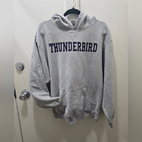 Thunderbird Gray Men's Hoodie - Picture 2 of 11